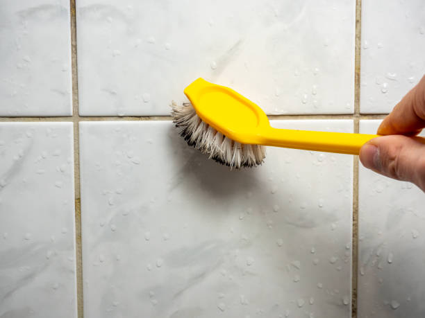 Best Mold Testing and Removal  in Sun Prairie, WI