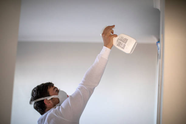Best Fast Mold Removal  in Sun Prairie, WI